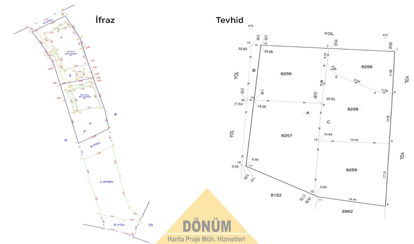 Tevhit - İfraz